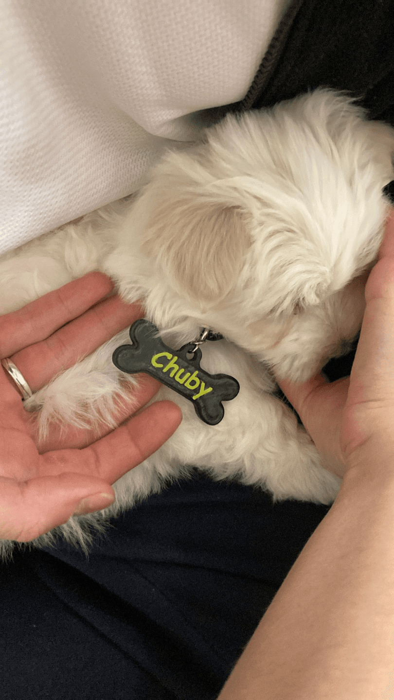 Brelok dla pieska imię + nr telefonu